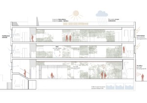 Recupero ex Cassa Mutua Artigiani - Brindisi, Br